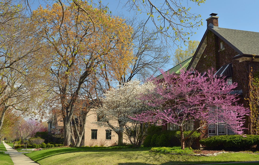 Forest Hills, East Pittsburgh, 15221