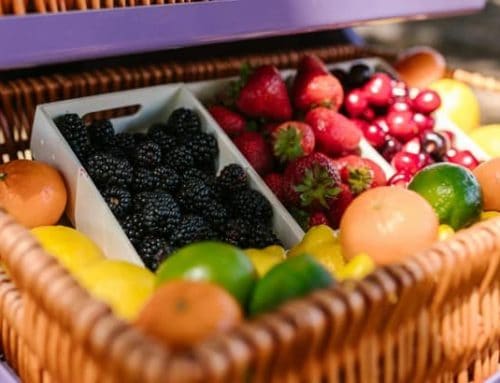 Pittsburgh North Side & Suburbs Weekly Events Guide | August 18–24, 2025